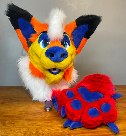 Sunny Fursuit